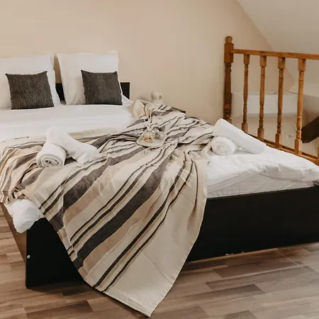 Апарт-отель Old Town Palatul Agoston Galgon 3*