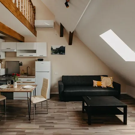 Old Town Palatul Agoston Galgon 3* Тимишоара