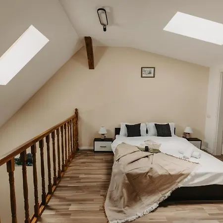 Old Town Palatul Agoston Galgon Timişoara