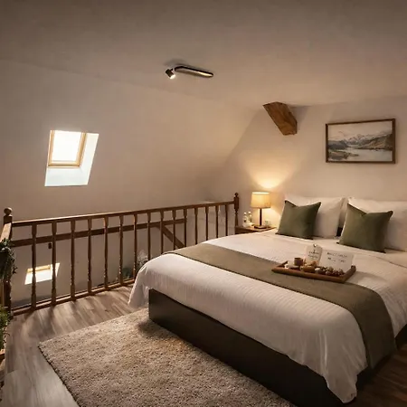 Old Town Palatul Agoston Galgon 3* 蒂米什瓦拉