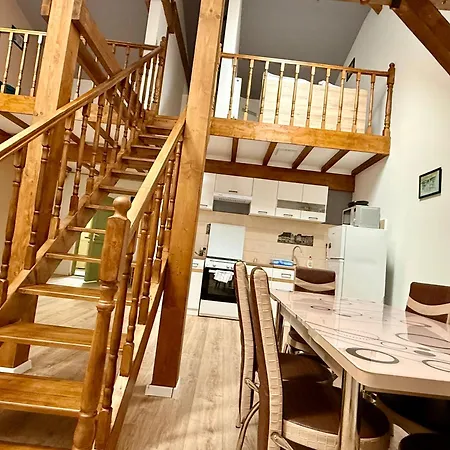 Old Town Palatul Agoston Galgon 公寓式酒店 3*