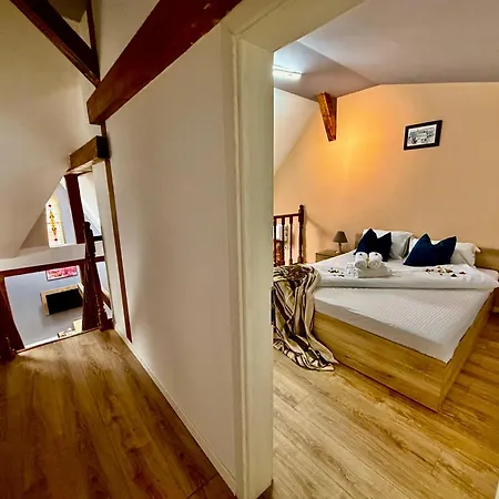 公寓式酒店 Old Town Palatul Agoston Galgon 3*