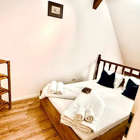 Old Town Palatul Agoston Galgon 3* Timişoara