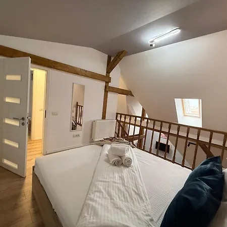 公寓式酒店 Old Town Palatul Agoston Galgon 3*