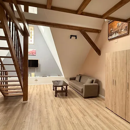 公寓式酒店 Old Town Palatul Agoston Galgon 3*