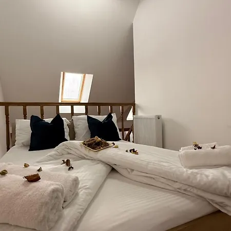 公寓式酒店 Old Town Palatul Agoston Galgon 3*