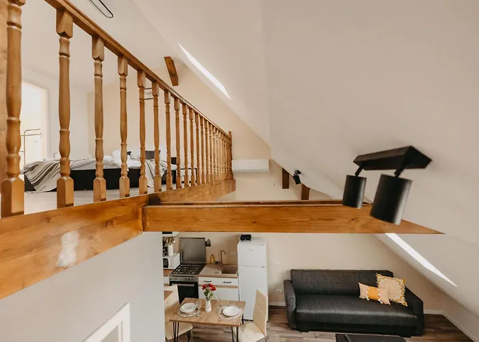 Old Town Palatul Agoston Galgon Lägenhetshotell Timişoara