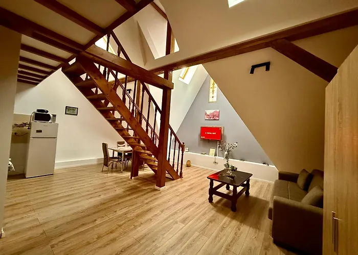 Old Town Palatul Agoston Galgon Lägenhetshotell Timişoara