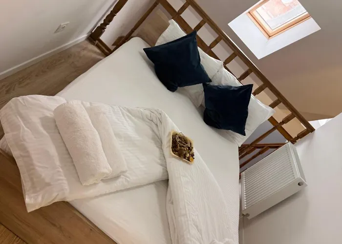 Old Town Palatul Agoston Galgon Timişoara