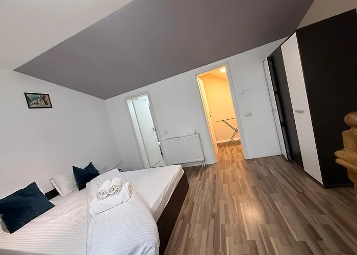 Old Town Palatul Agoston Galgon Appart hôtel Timişoara