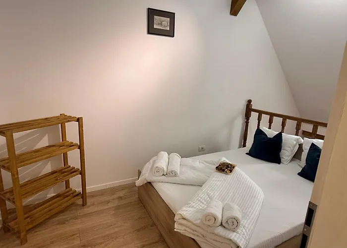 Old Town Palatul Agoston Galgon Timişoara