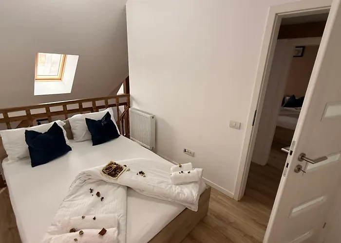 Appart hôtel Old Town Palatul Agoston Galgon Timişoara