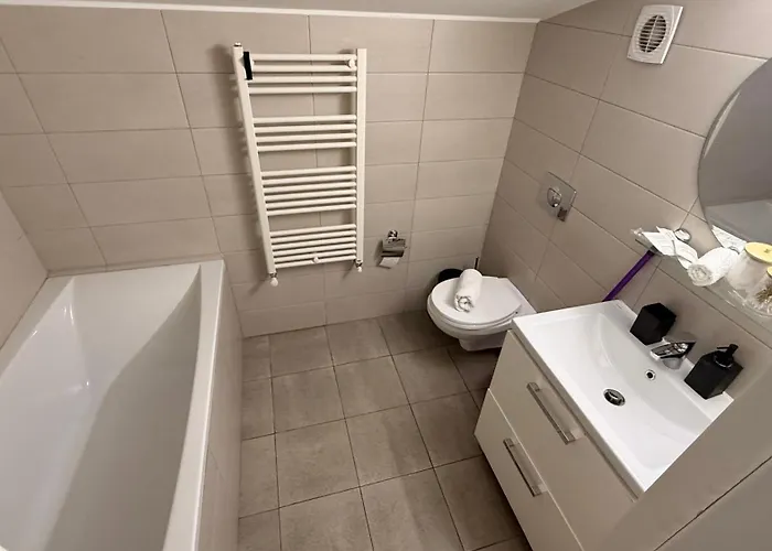 Old Town Palatul Agoston Galgon 3* Timişoara