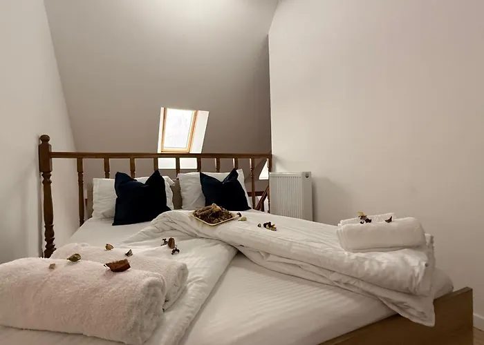 Lägenhetshotell Old Town Palatul Agoston Galgon 3*