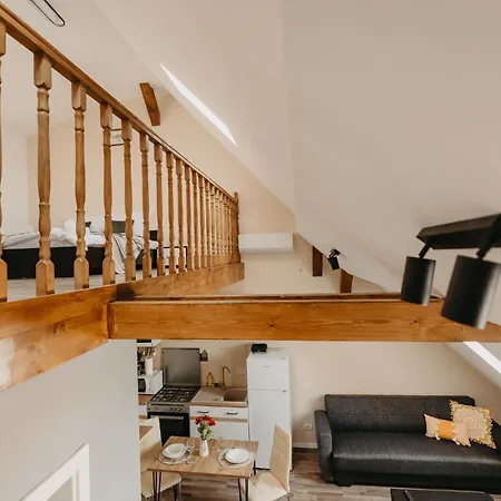 Old Town Palatul Agoston Galgon Aparthotel Timisoara