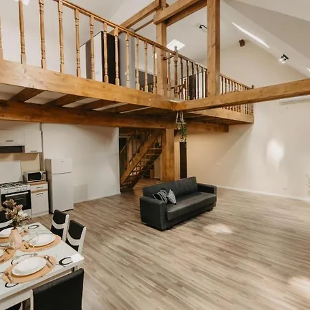 Old Town Palatul Agoston Galgon 3* Timisoara