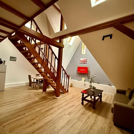 Old Town Palatul Agoston Galgon Lägenhetshotell Timişoara