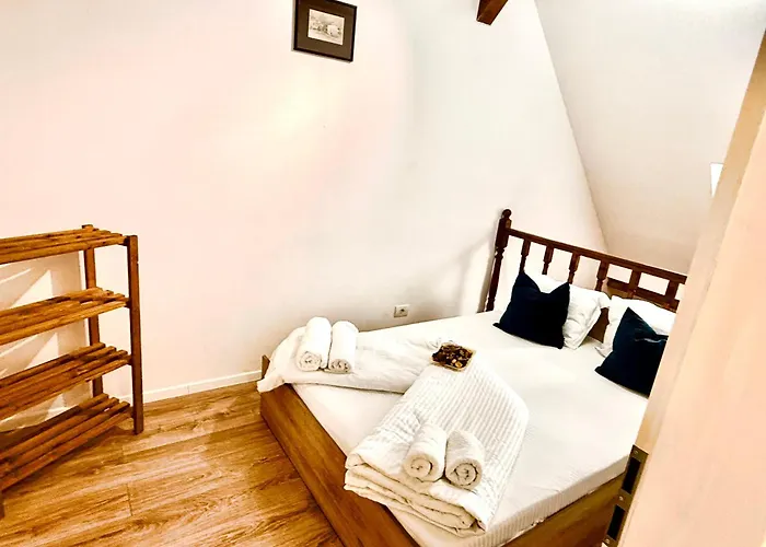 Old Town Palatul Agoston Galgon 3* Timişoara