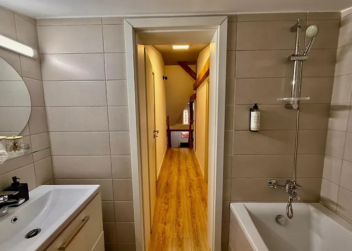 Old Town Palatul Agoston Galgon Lägenhetshotell Timişoara