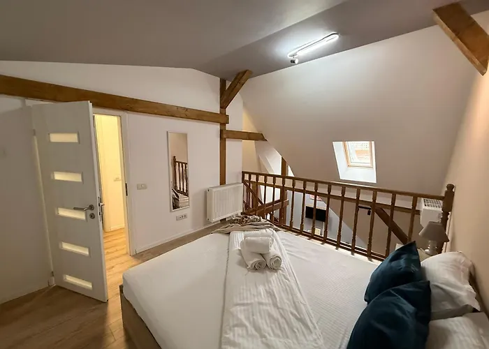 Lägenhetshotell Old Town Palatul Agoston Galgon Timişoara